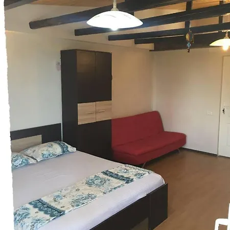 Vila David Junior Homestay Eforie Nord