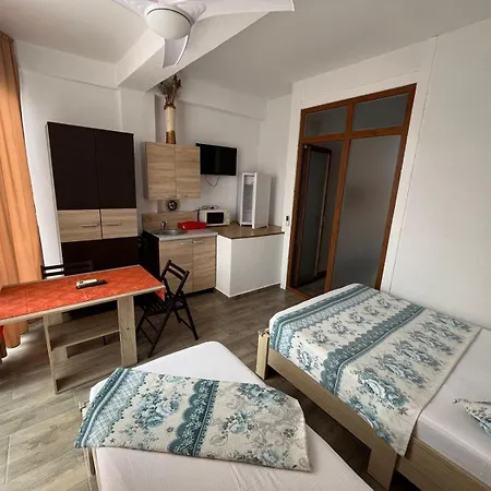Vila David Junior Homestay *
