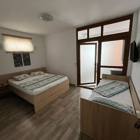 Vila David Junior Homestay *