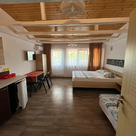 Vila David Junior Homestay